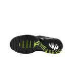 Nike Air Max Plus Black Chrome