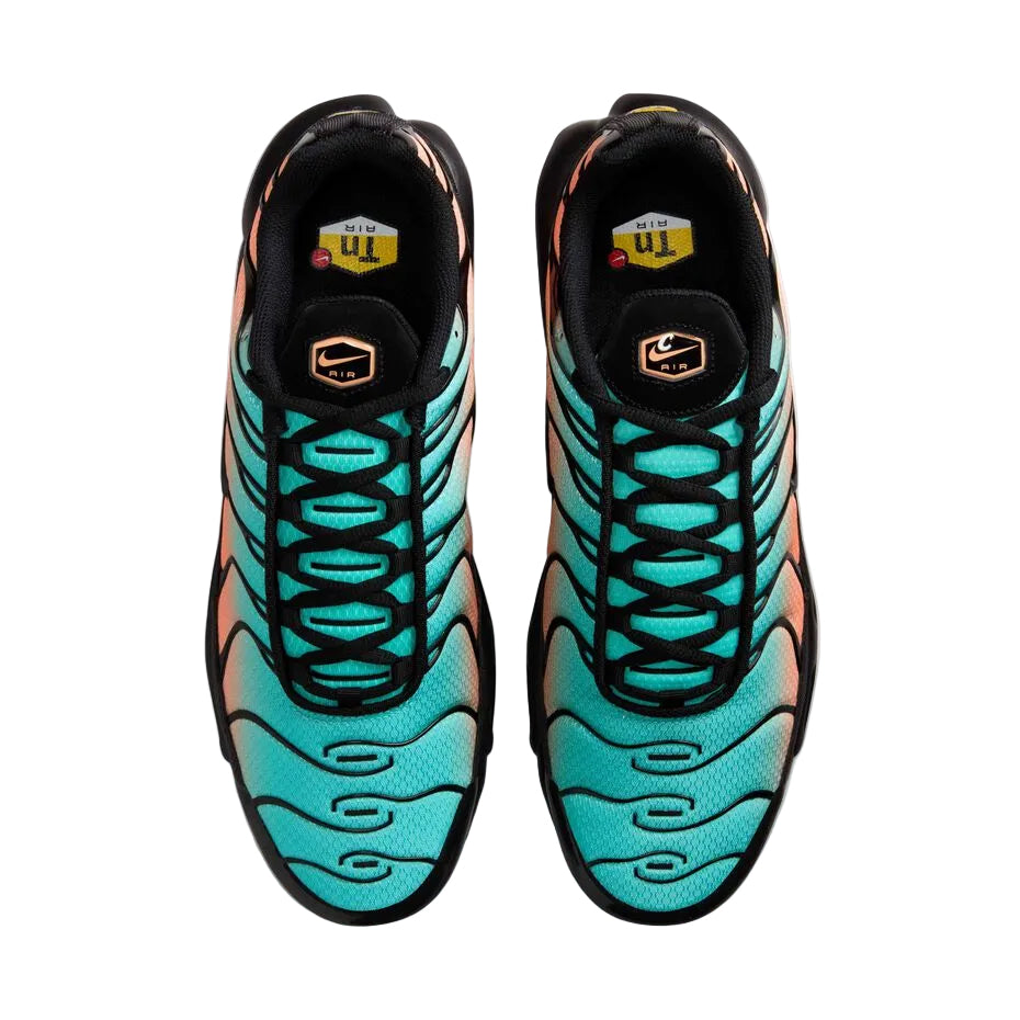 Nike Air Max Plus South Beach